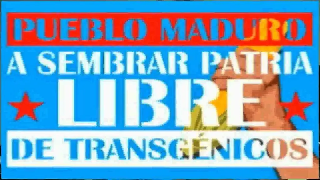 Gob. Bolivariano reitera su rechazo al uso de los transgéni
