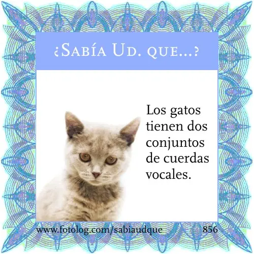 Sabia usted que? Datos curiosos sobre los animales