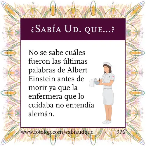 Sabía usted que... - 100 Curiosidades!