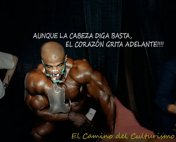 taringa