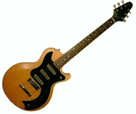 Te queres comprar una guitarra? Primero informate