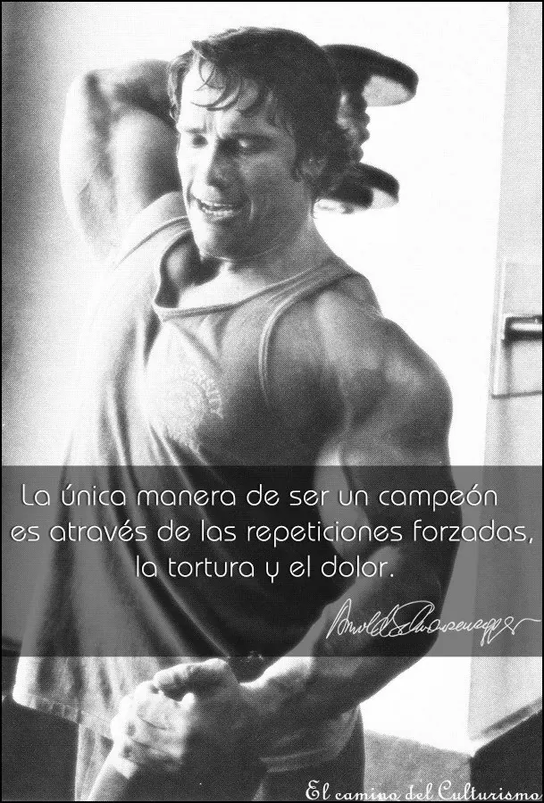 Carteles Motivadores de Fisiculturismo de Nuestra comunidad