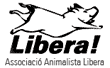 buena suerte