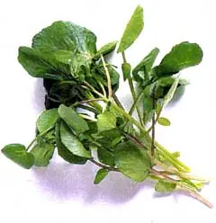 espinillas