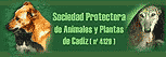 evitar la mala suerte