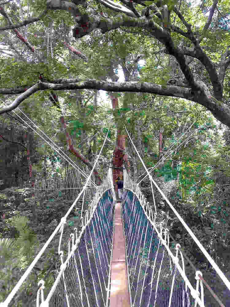 Puentes mas peligrosos del mundo