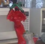 mujer