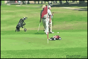 Gifs graciosos