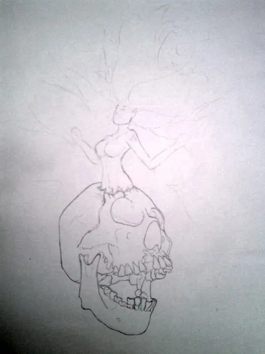 Skull Study...