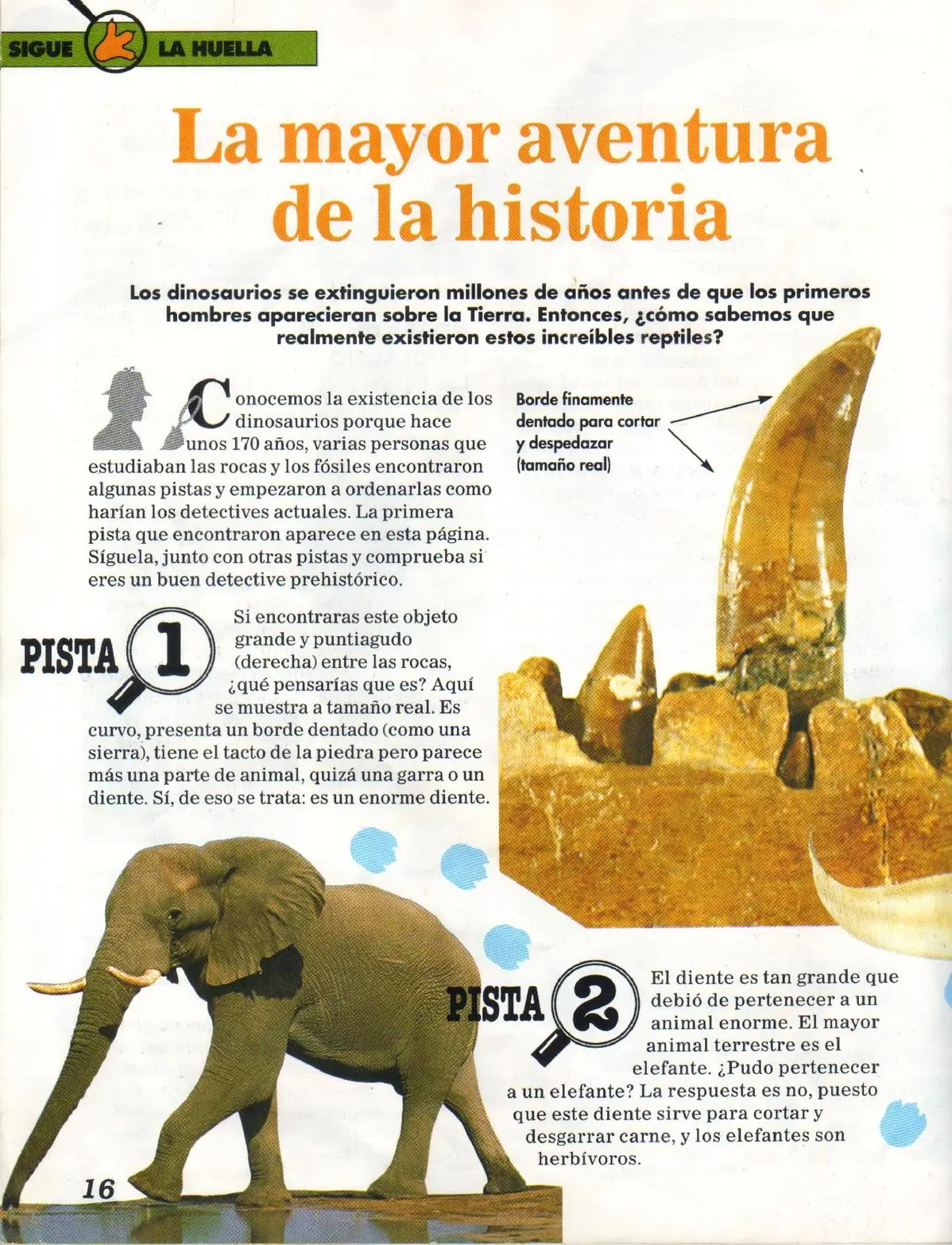Tiranosaurio Rex