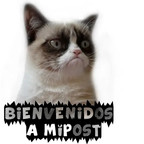Grumpy cat, el gato mala onda!
