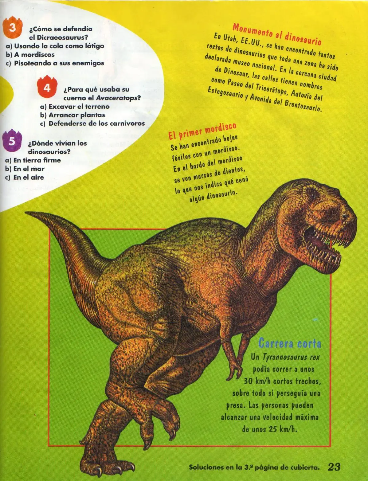 reptil