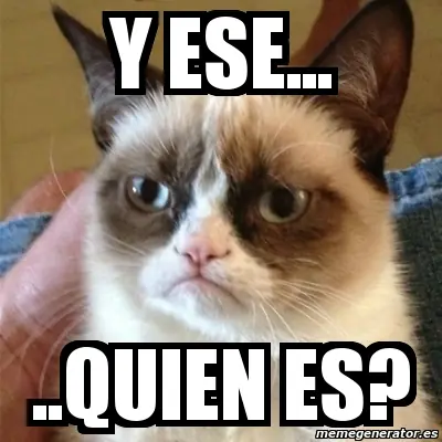 gato