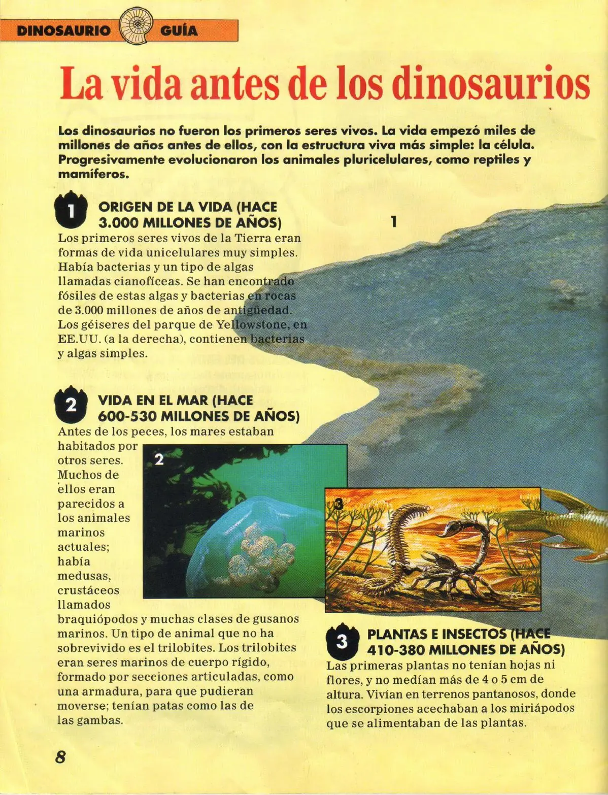 Dinosaurios,historia ilustrada