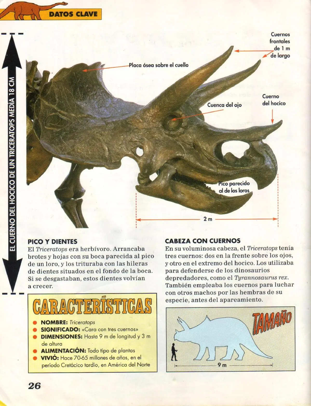 argentinosaurus