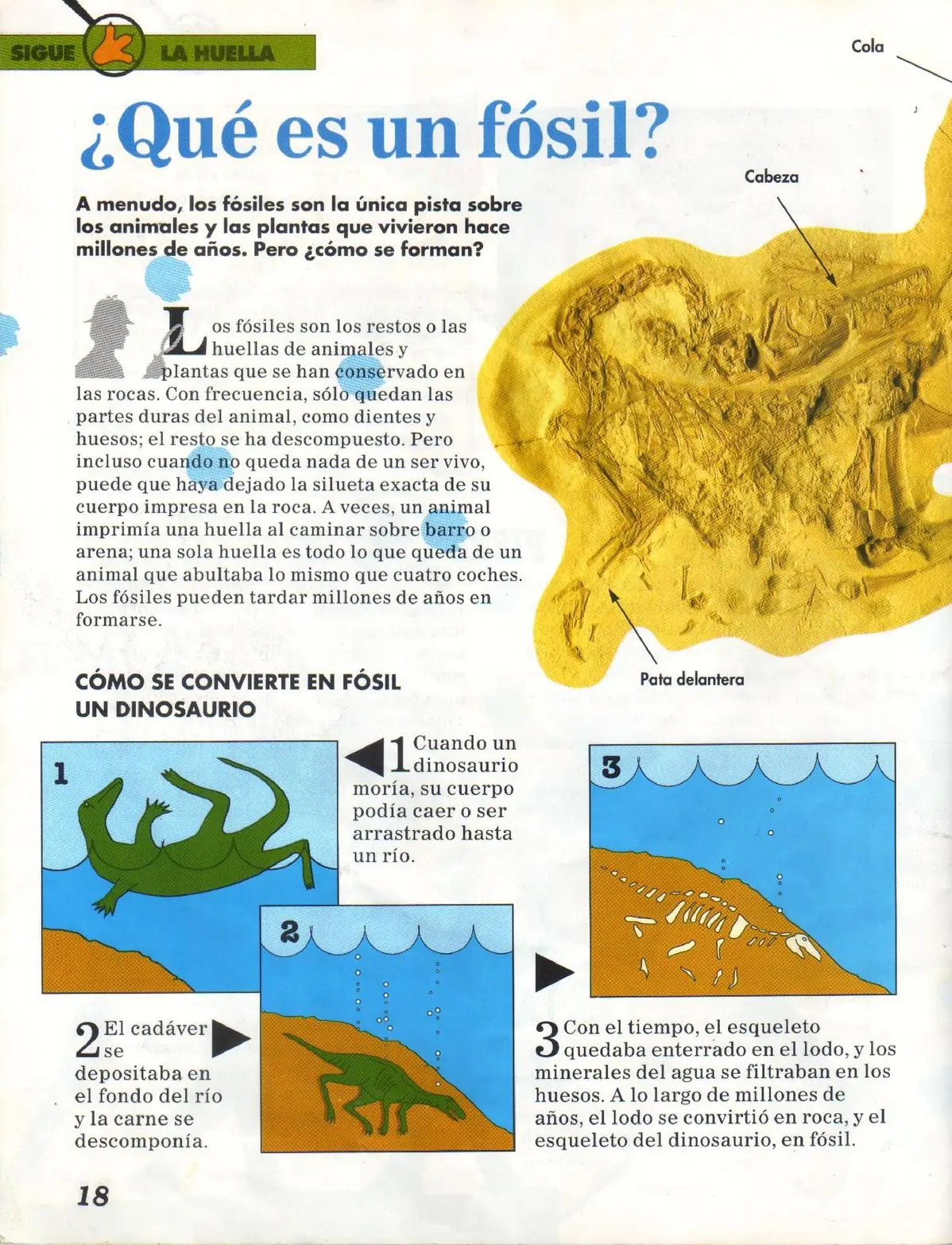 historia