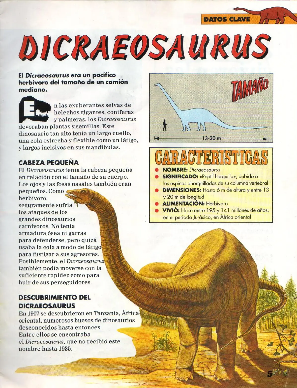 Tiranosaurio Rex