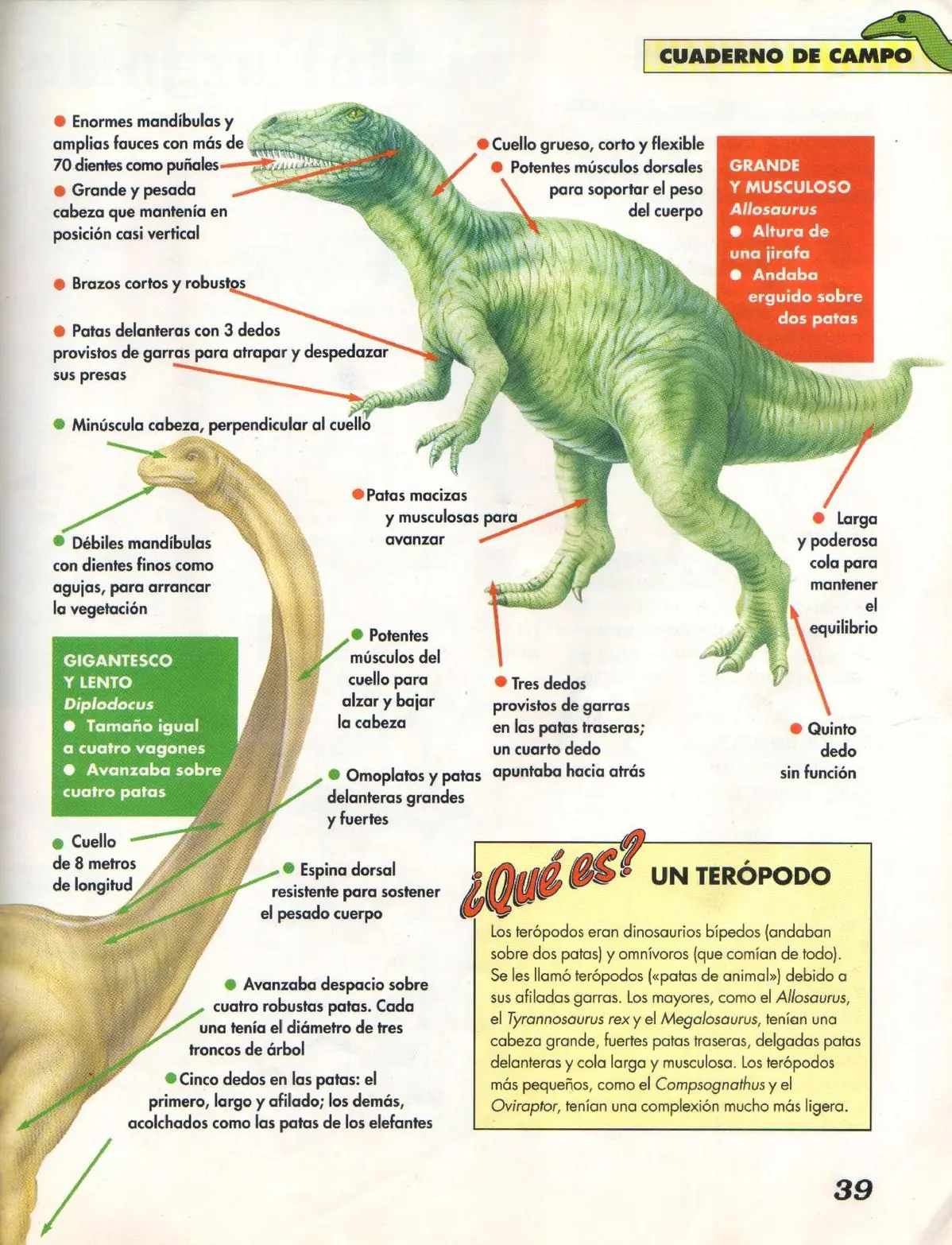 Animales
