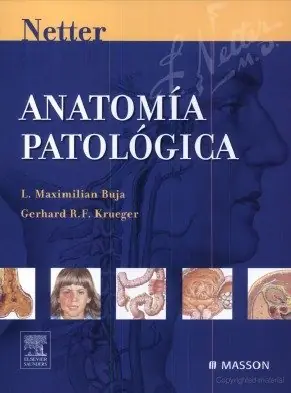 ¿Buscas un Libro Universitario?