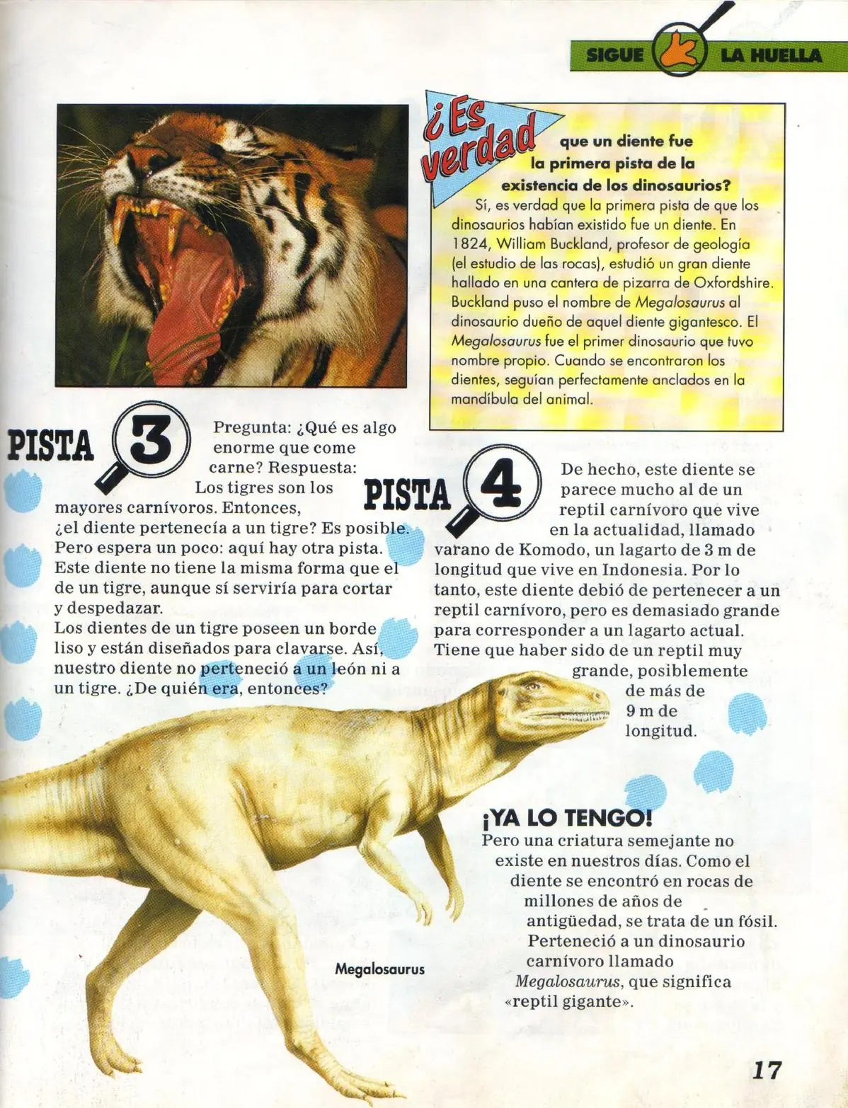 Dinosaurios,historia ilustrada