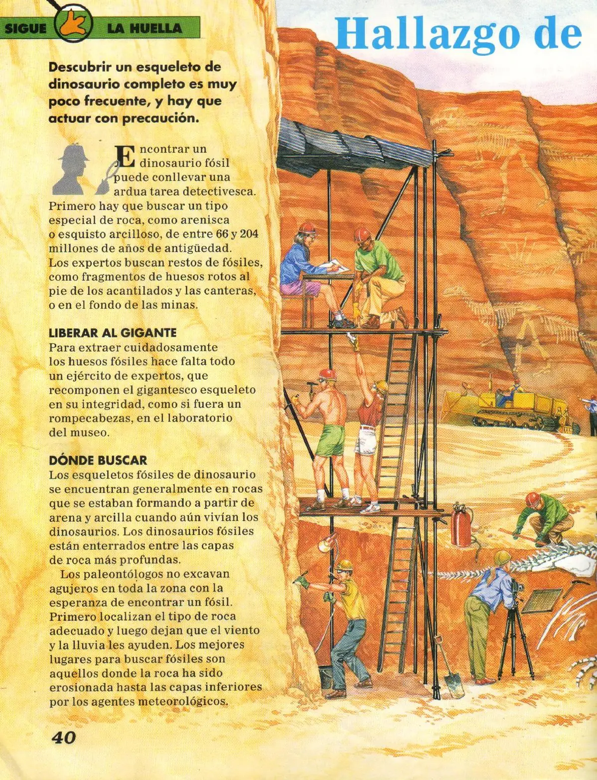 arqueologia