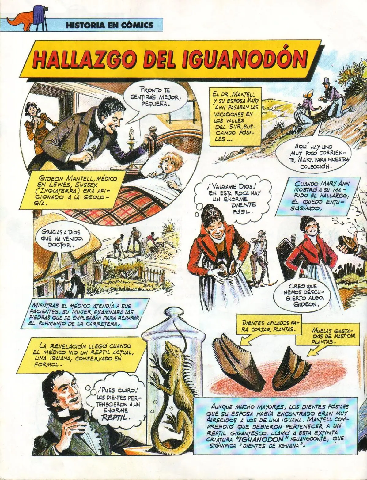extincion
