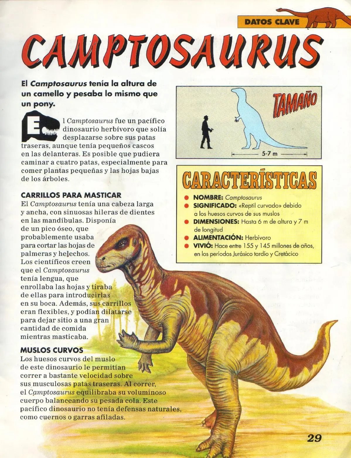 Dinosaurios,historia ilustrada