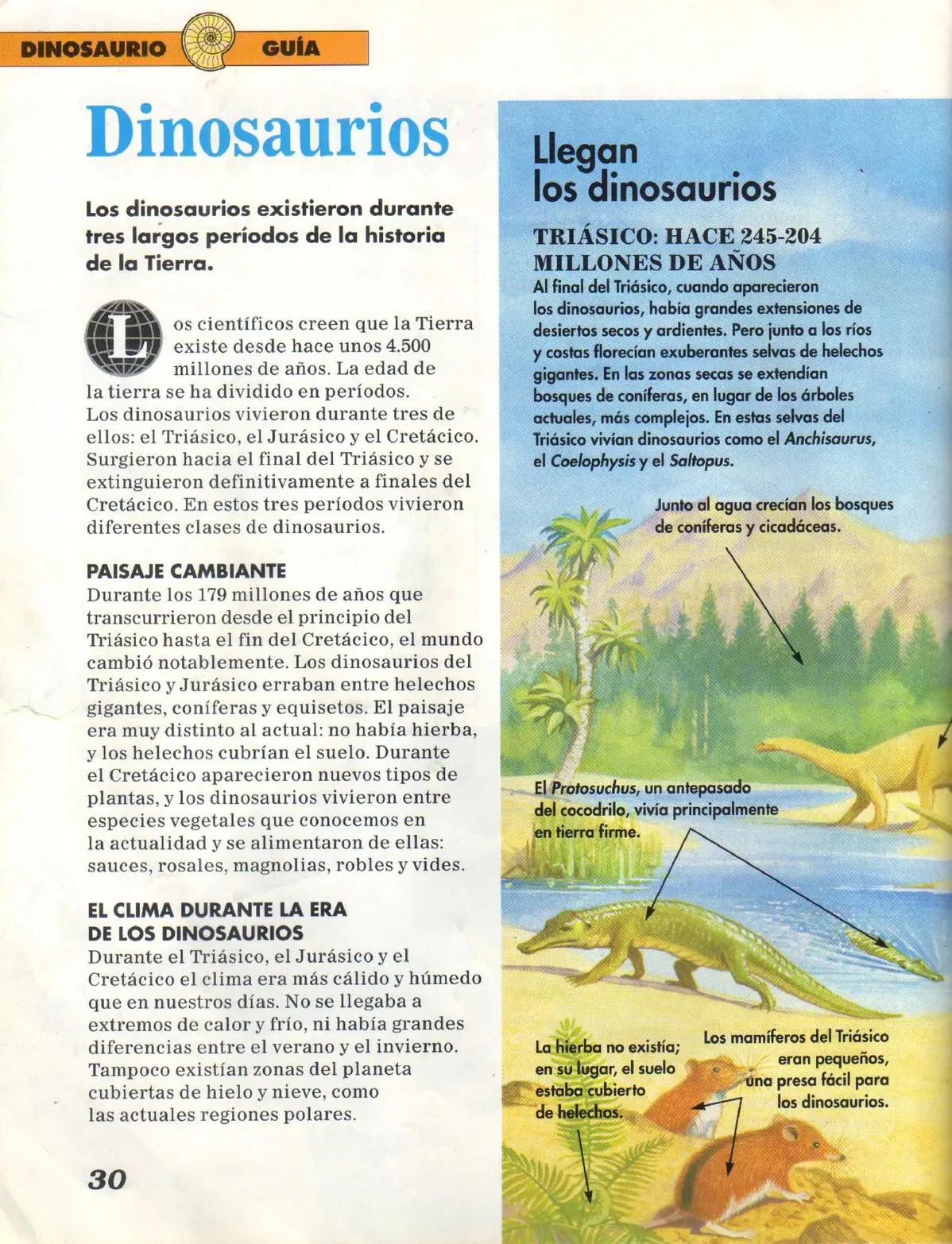 reptil
