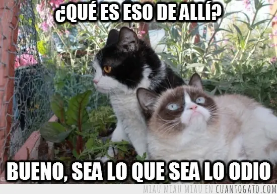 bue