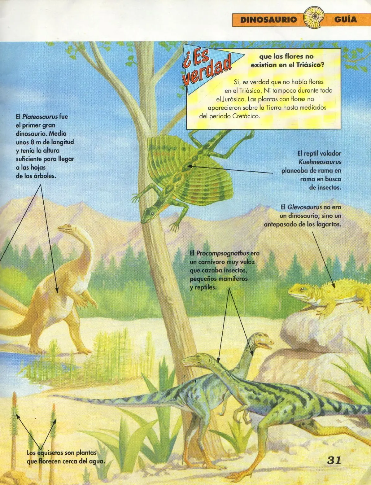 arqueologia