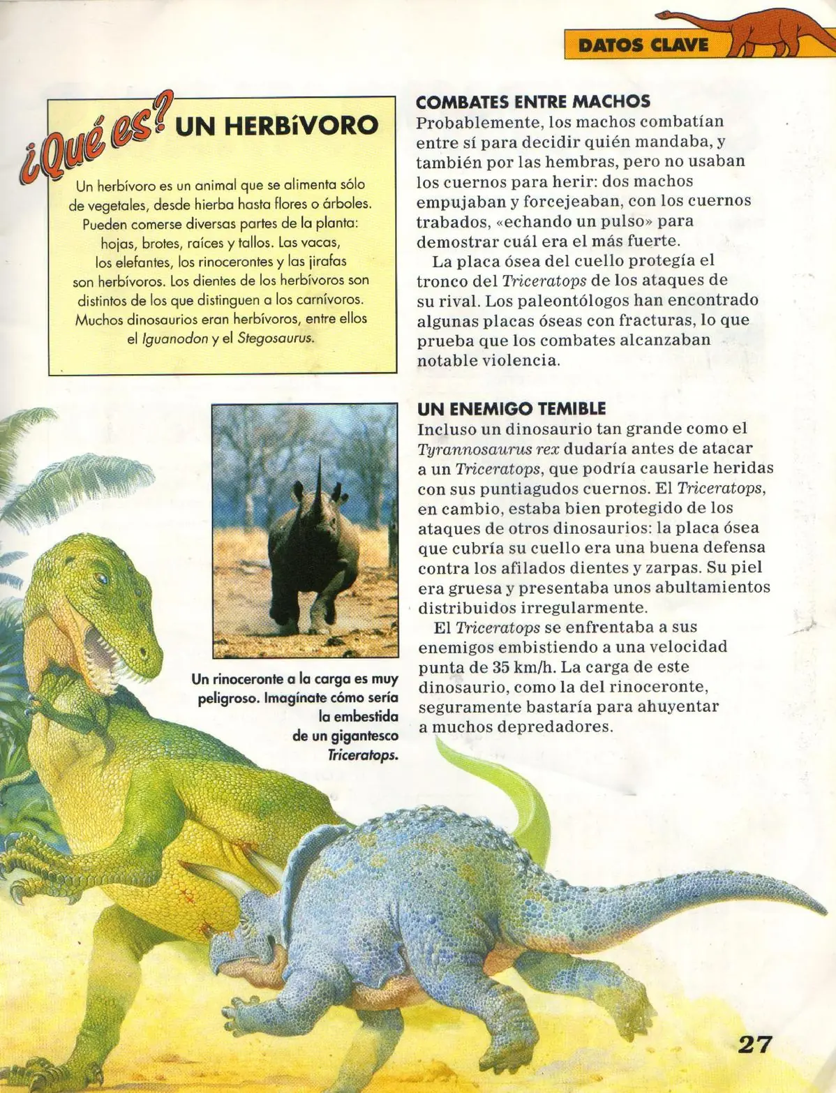 Tiranosaurio Rex