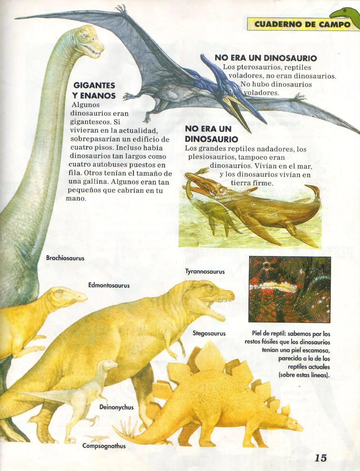 arqueologia