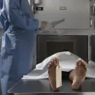 vomito