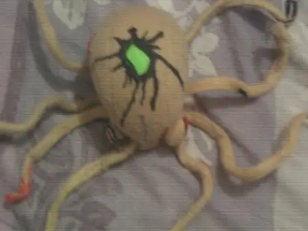 tarantula
