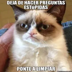 Grumpy cat, el gato mala onda!