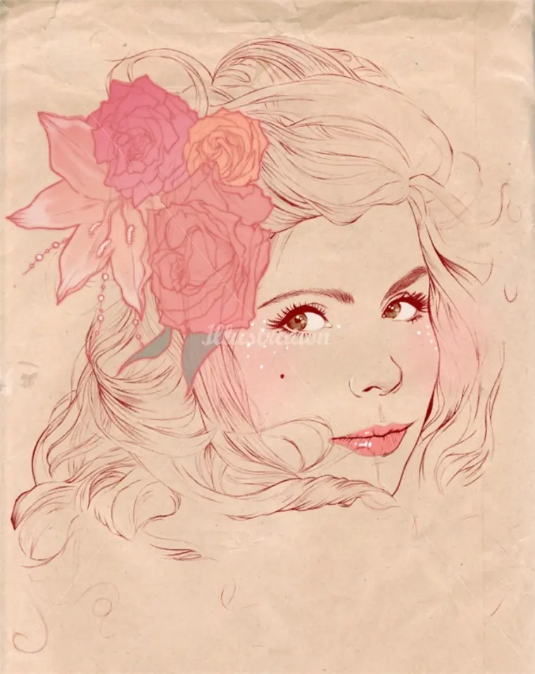 ilustraciones