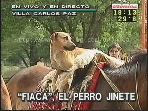 Imperdible
