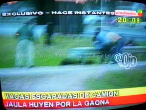 conica