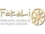 Federación Andaluza de Mujeres Gitanas: subvenciones 2012
