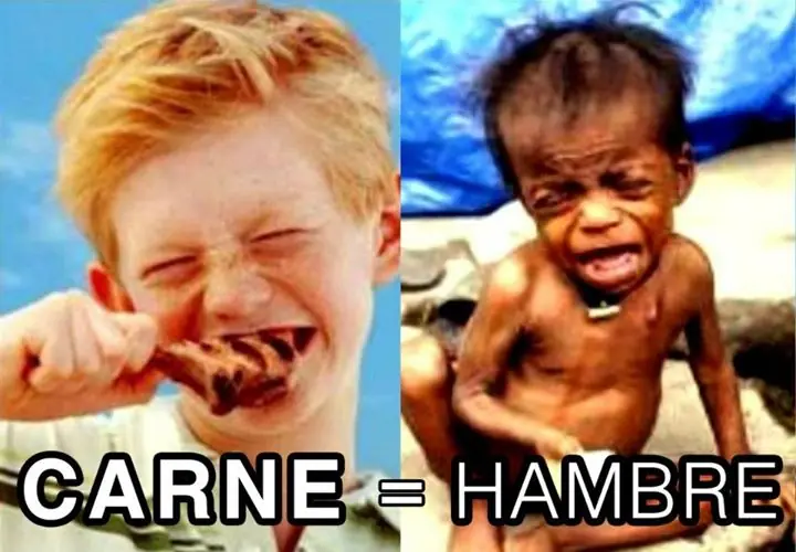 3 razones sociales para ser vegetariano/a