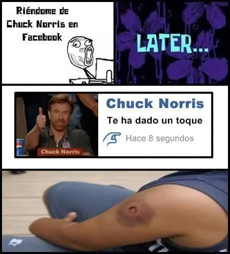 chuck norris