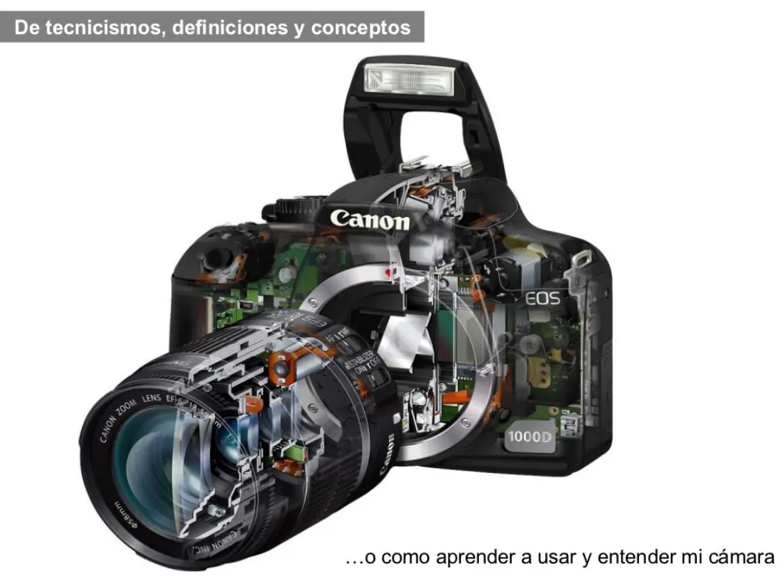 fotos