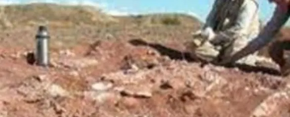 Descubren primeras huellas de un dinosaurio herbívoro en Ur