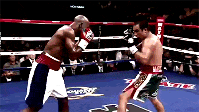 mayweather