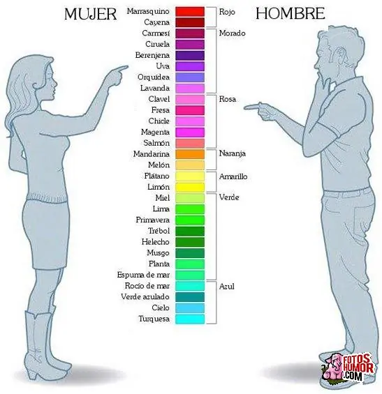 Diferencias: Hombres y Mujeres (info y algo de humor)