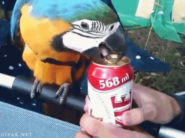 Gifs