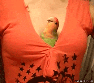 Gifs