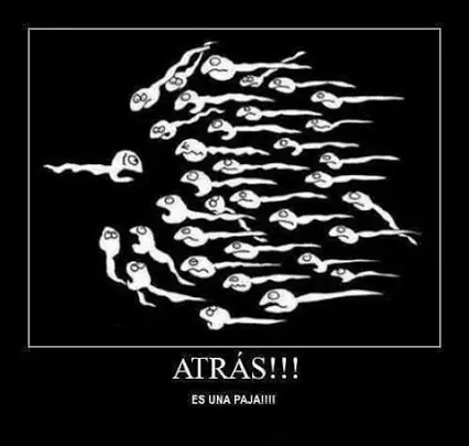 Verdad