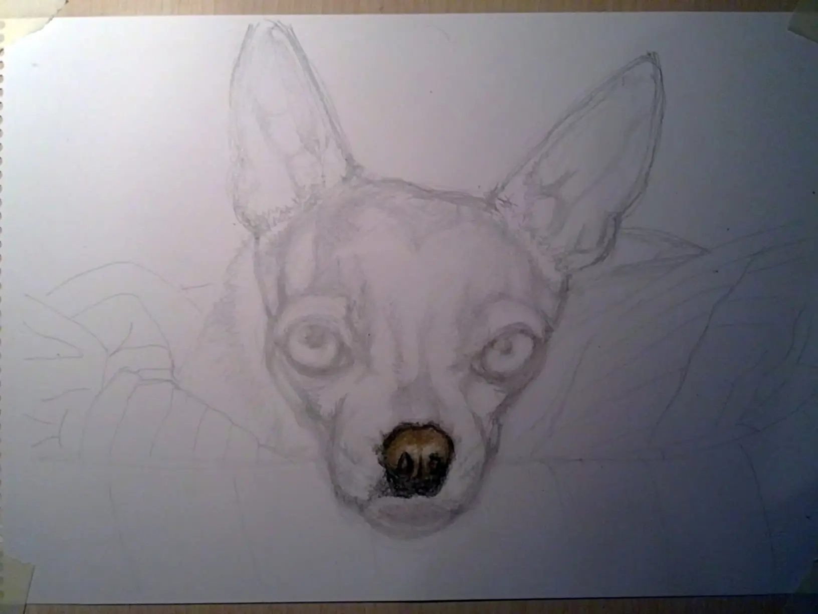 Princesa Chihuahua