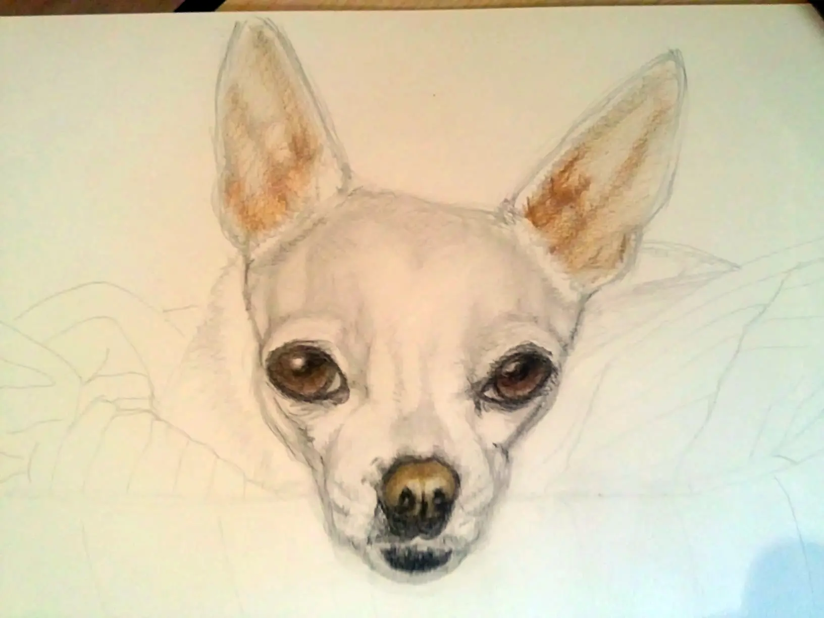 perro